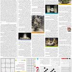 صفحه۱۵-۰۴ بهمن ۱۴۰۰