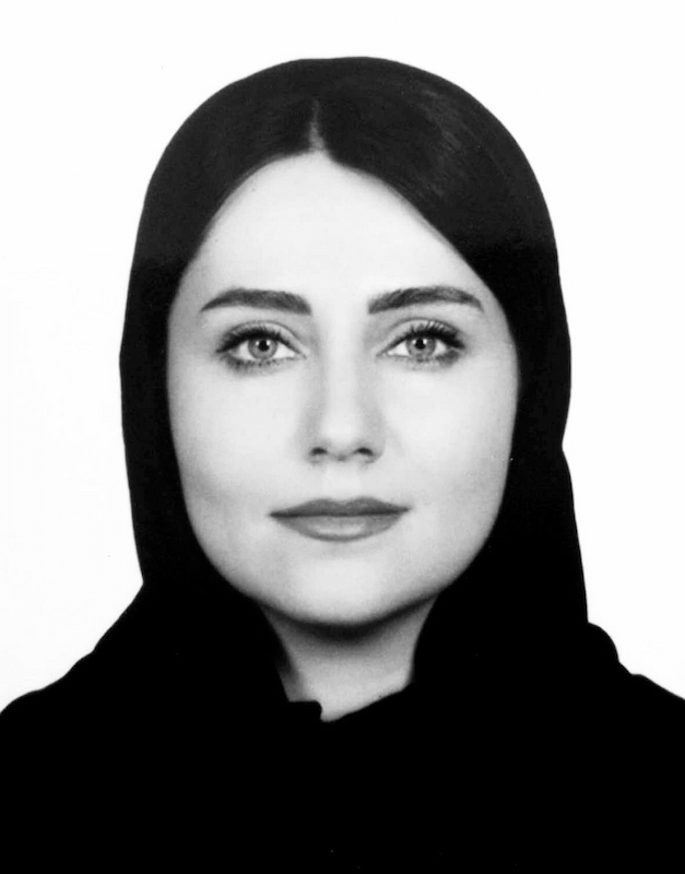 تعلل در سیاستگذاری