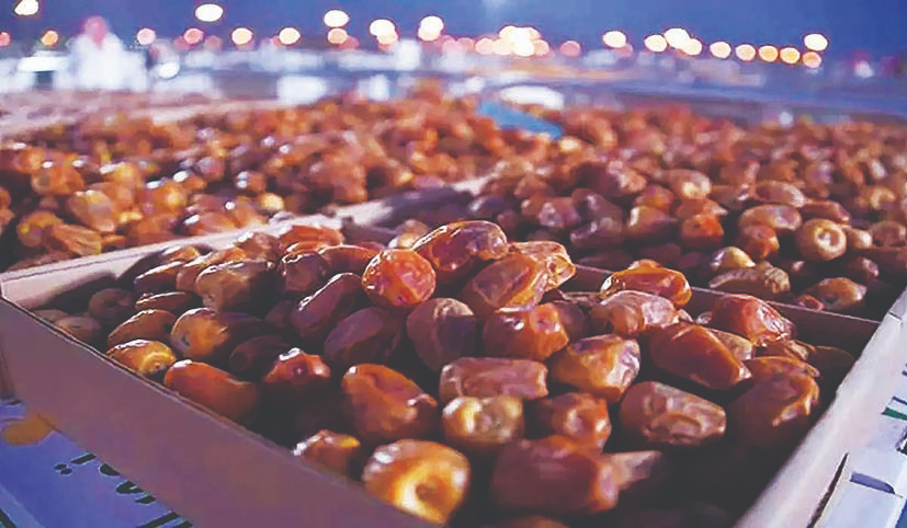 فاجعه منع صادرات خرما فاجعه منع صادرات خرما