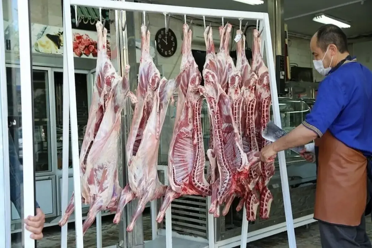 هر کیلو لاشه گوسفندی ۶۵۰ هزار تومان؛ قیمت نهایی برای مصرفکننده اعلام شد هر کیلو لاشه گوسفندی ۶۵۰ هزار تومان؛ قیمت نهایی برای مصرفکننده اعلام شد