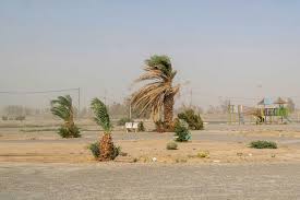 توفان شدید، ادارات منطقه سیستان را ساعت ۱۱ تعطیل می کند