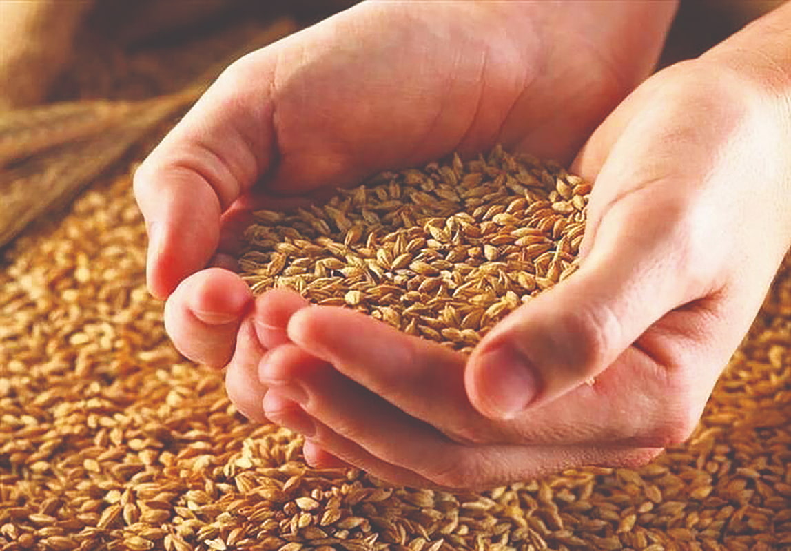 ذخایر غلات ایران، بیشترین در آسیا پس از چین و هند