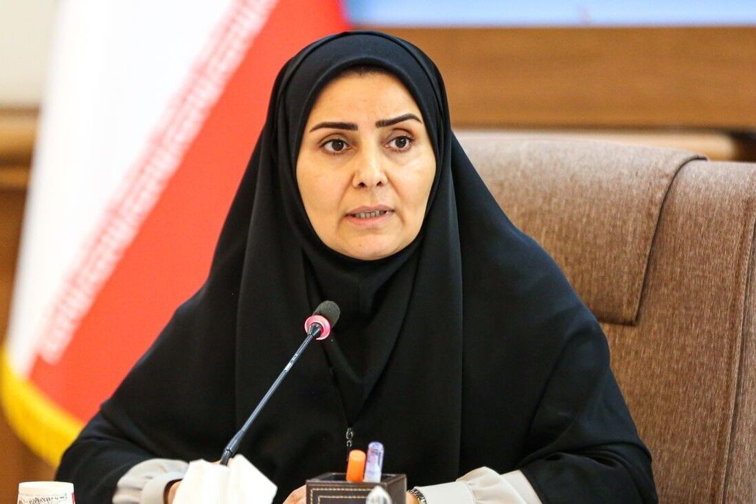 حمایت از زائران با کنترل قیمت بلیت‌های اربعین