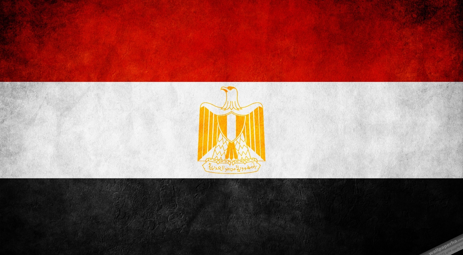 مصر خواستار پاسخ‌گویی اسرائیل به جامعه جهانی شد