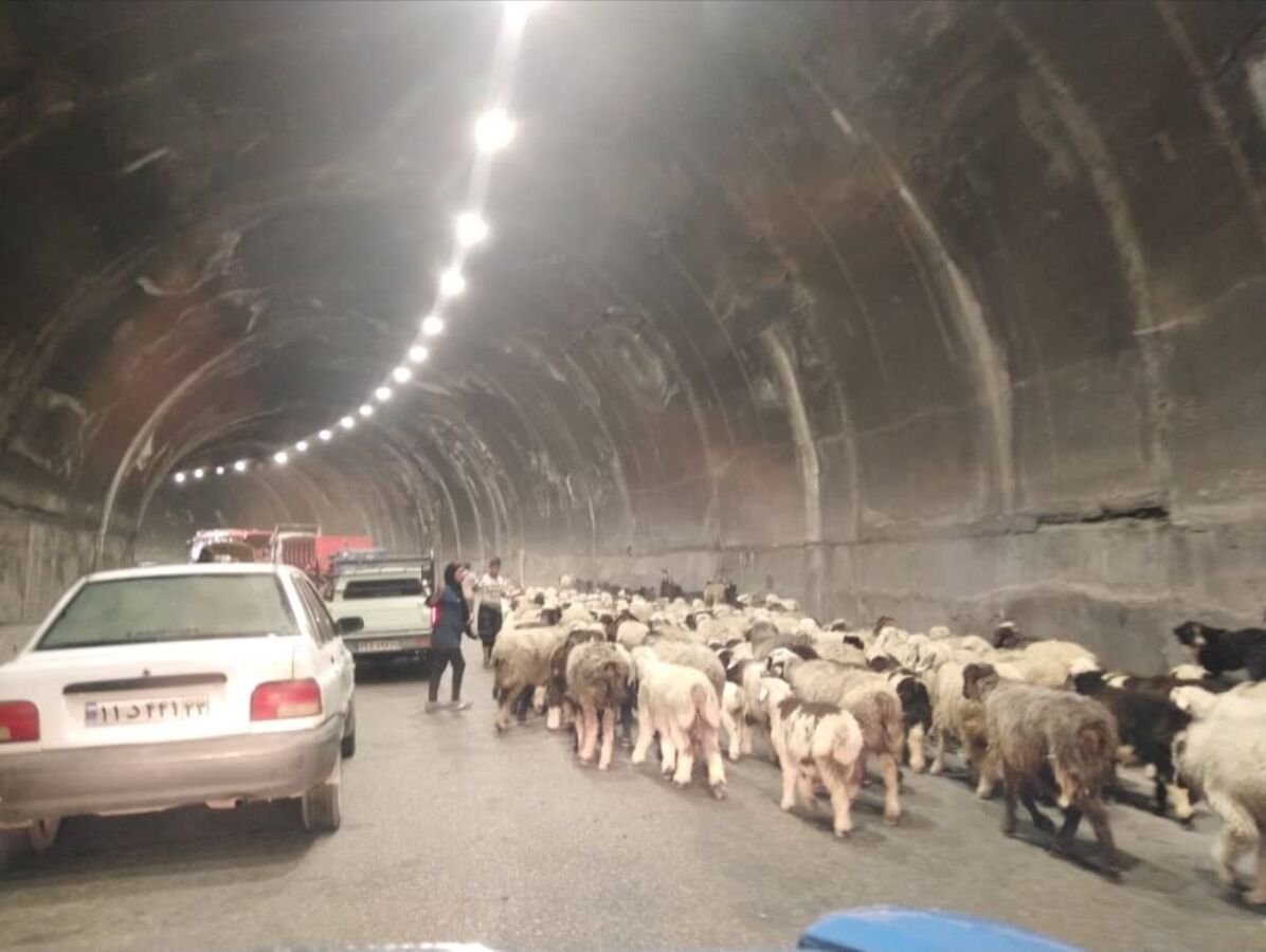 بسته شدن جاده کرج–چالوس و آزادراه شمال از ساعت ۲۲ امشب بسته شدن جاده کرج–چالوس و آزادراه شمال از ساعت ۲۲ امشب