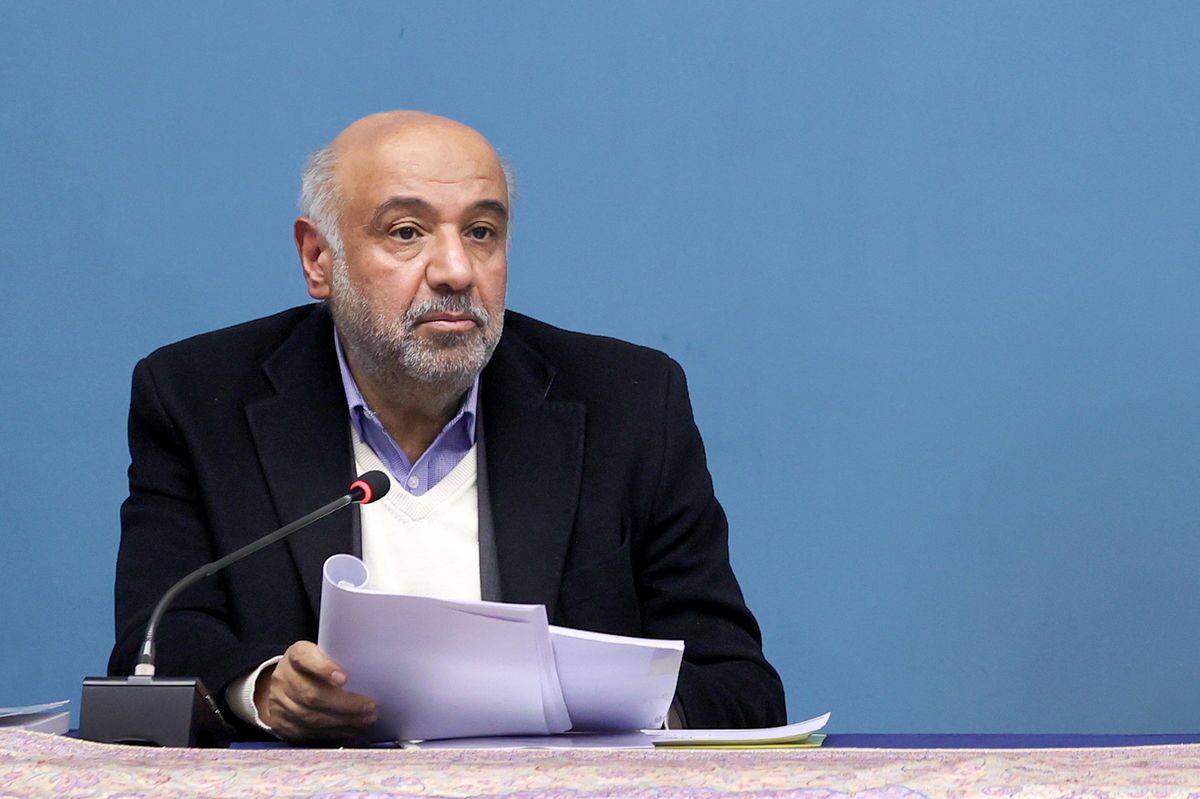 میدری: ساماندهی نیروی مهاجر در دستور کار است