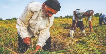 حمایت از خصوصی‌سازی واقعی