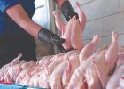 قیمت مرغ برای مصرف‌کننده ۱۰۸ هزار تومان است