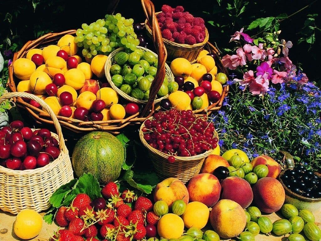 کاهش قیمت میوه از نیمه مرداد؛ انتظار افت ۲۰ تا ۴۰ درصدی در بازار