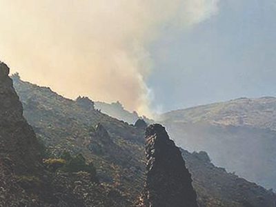 مصون ماندن جنگل‌های هیرکانی از آتش‌سوزی