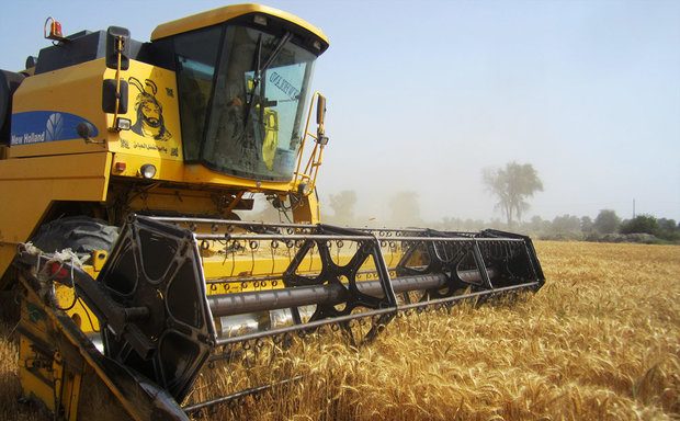 تسویه مطالبات گندمکاران به کجا رسید؟