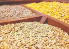 موانع اصلی تامین نهاده‌های دامی در کشور چیست؟