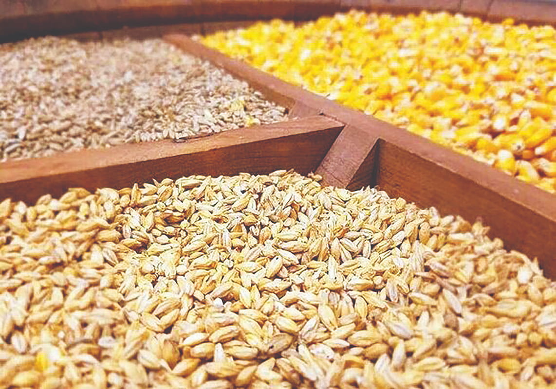 چالش بزرگ صنعت دامداری