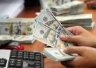 تامین بیش از ۲۳ میلیارد دلار ارز برای واردات