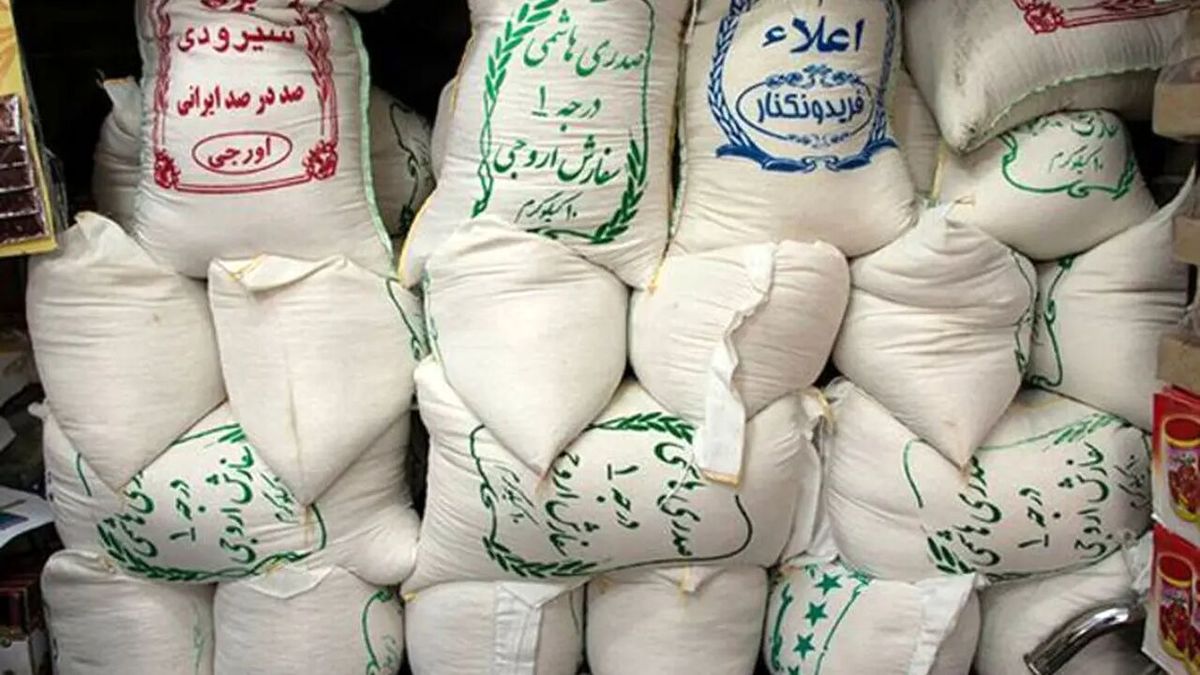 توضیحات وزیر جهاد درباره دلایل گرانی برنج ایرانی توضیحات وزیر جهاد درباره دلایل گرانی برنج ایرانی