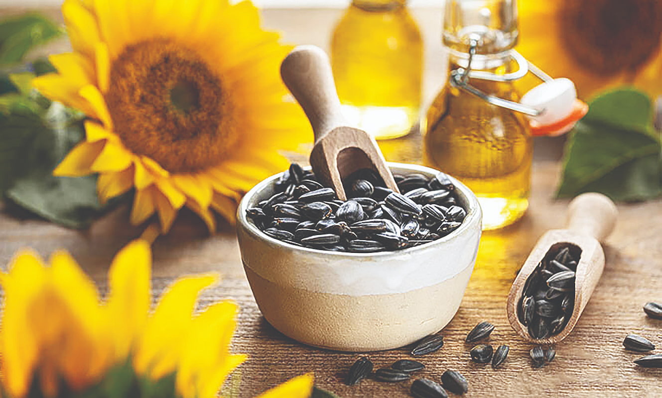 رقابت جهانی آفتابگردان و کاهش ۱۱‌درصدی صادرات