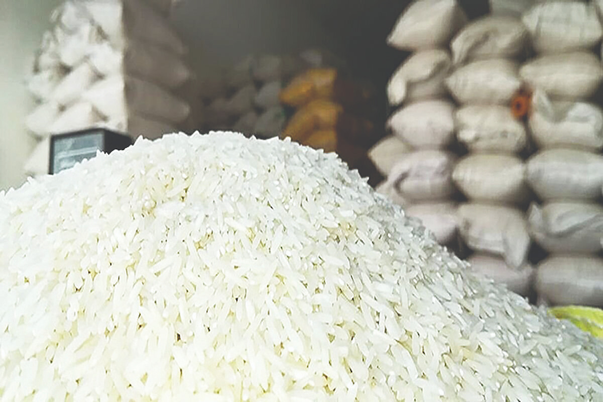 ضرورت اصلاح چرخه تخصیص ارز برای حفظ جریان تامین برنج