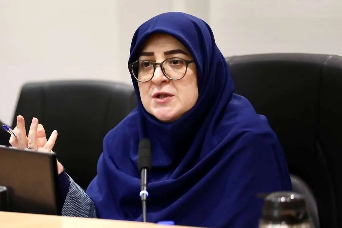 مهاجرانی: بحث تغییر نرخ بنزین فقط در حد طرح مسئله است مهاجرانی: بحث تغییر نرخ بنزین فقط در حد طرح مسئله است