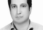 چاره‌های نامعقول