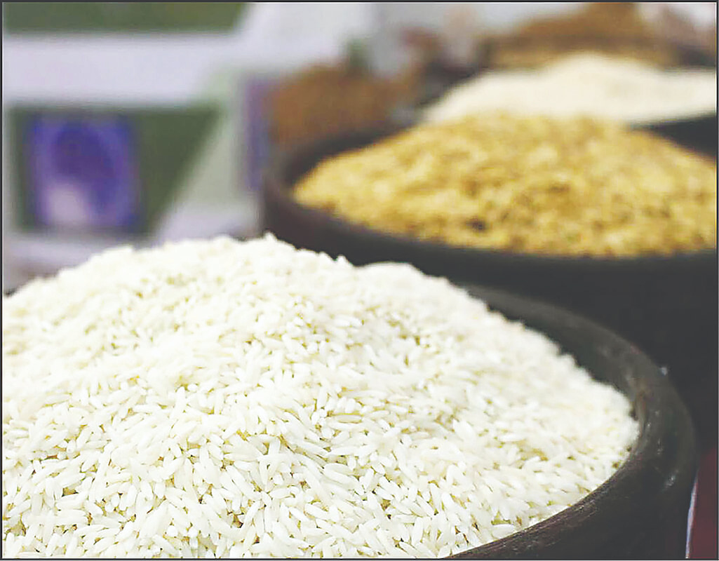 واردات تنها ۲نوع برنج پاکستانی و هندی واردات تنها ۲نوع برنج پاکستانی و هندی