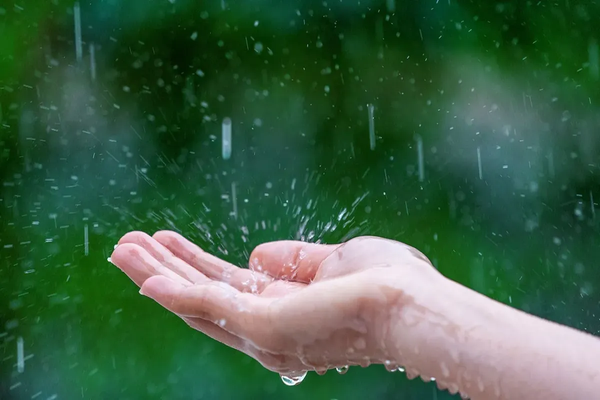 سازمان هواشناسی از مواج شدن دریاها خبر داد؛ دریای عمان، خلیج فارس و خزر طی روزهای آینده متلاطماند سازمان هواشناسی از مواج شدن دریاها خبر داد؛ دریای عمان، خلیج فارس و خزر طی روزهای آینده متلاطماند