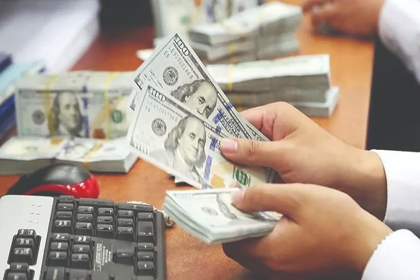 تامین ۵/‏‏۶‌میلیارد دلاری ارز کالا‌های اساسی