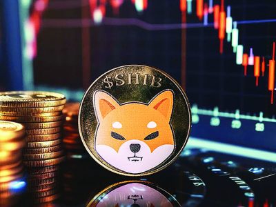 خطر ریزش قیمت در کمین شیبا اینو