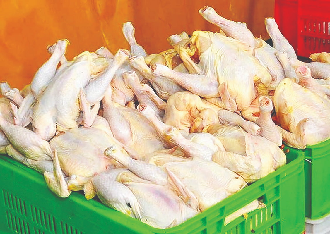 خودکفا اما گران
