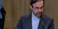 عقل سلیم حمایت از قطعنامه را ایجاب می‌کند؛ فشار سیاسی مانع اجماع کشورها شد