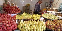 ثبات بازار میوه‌های پاییزی پیش‌بینی شد؛ چرا خیار و کاهو گران شدند؟