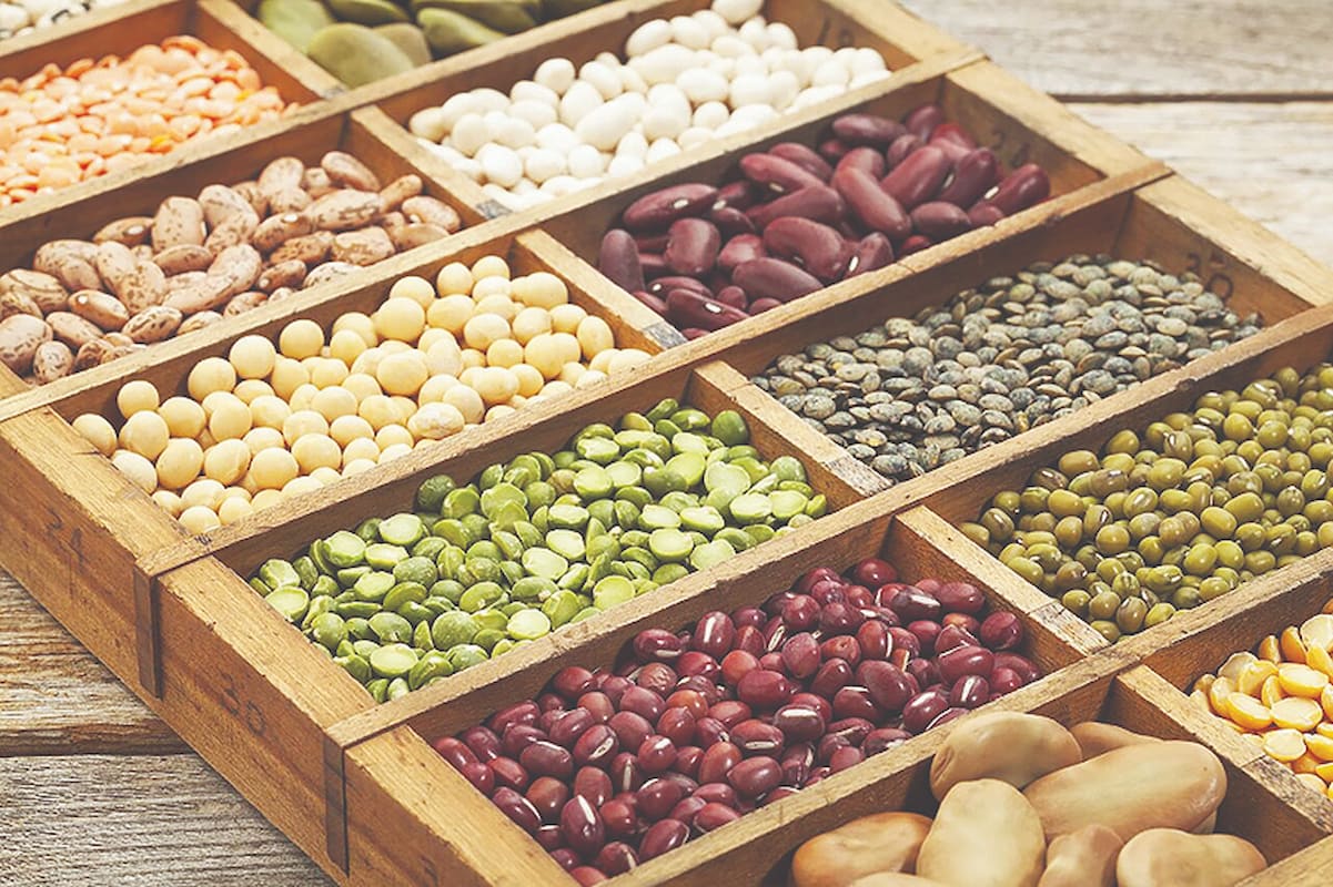 مطالبات ۹ ماهه واردکنندگان غلات همچنان بلاتکلیف