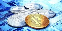نقش نهنگ‌ها در حمایت از کریپتو