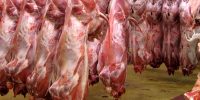 تأمین گوشت قرمز با واردات گسترده؛ آیا قیمت‌ها کنترل می‌شود؟