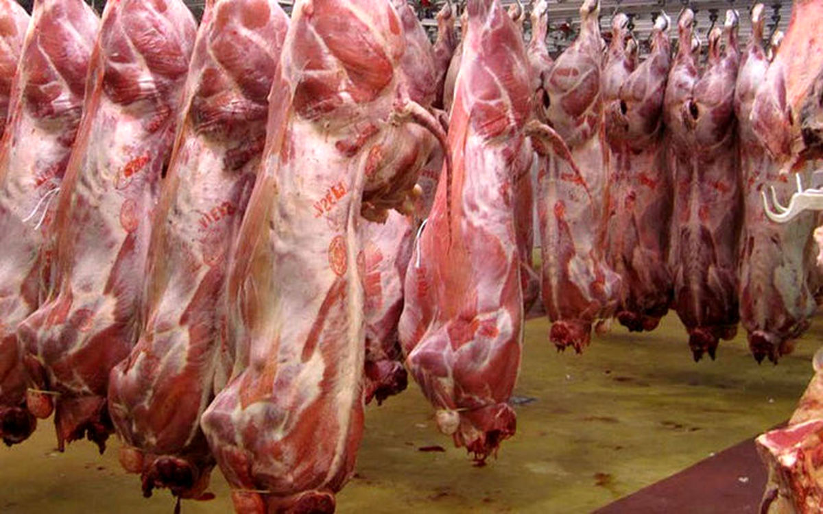 تأمین گوشت قرمز با واردات گسترده؛ آیا قیمت‌ها کنترل می‌شود؟