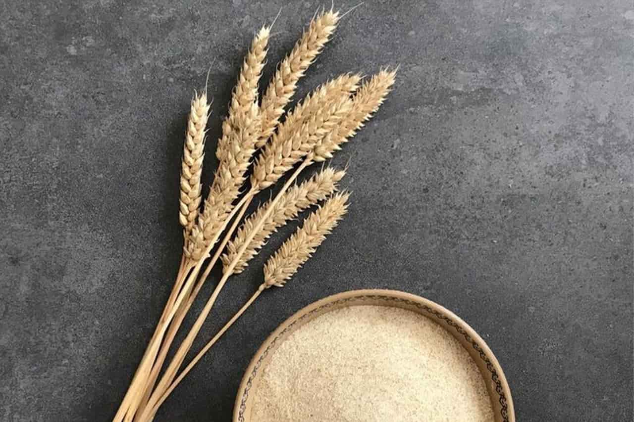 شورای قیمتگذاری گندم اختلاف دارد؛ اعضای دولتی و بخش خصوصی به اجماع نرسیدند شورای قیمتگذاری گندم اختلاف دارد؛ اعضای دولتی و بخش خصوصی به اجماع نرسیدند