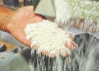 آغاز ثبت سفارش برای واردات ۱۵۰‌هزار تن  برنج به‌زودی