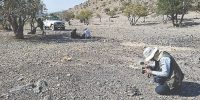 آغاز طرح مستند‌سازی محوطه ‌های‌باستانی در پاسارگارد
