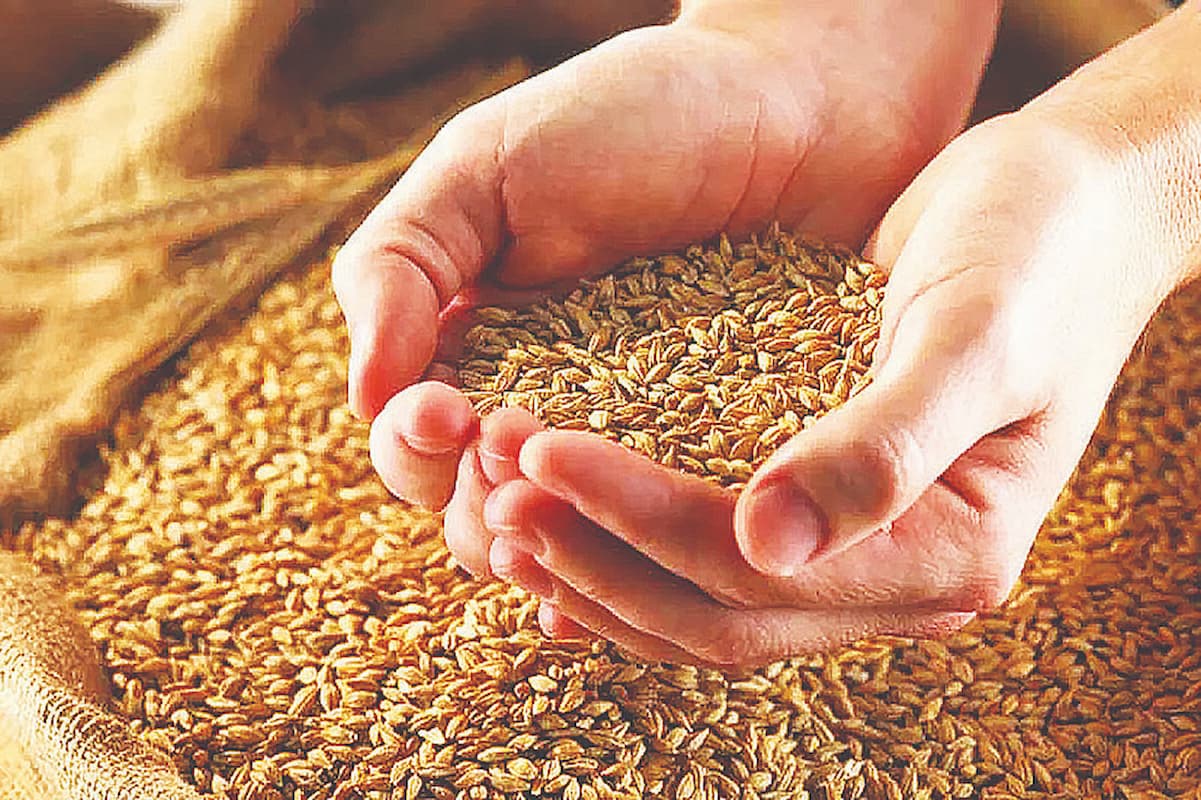 اهمال در تعیین قیمت گندم، مصداق ترک فعل