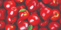 بررسی جایگاه ایران در تولید جهانی سیب