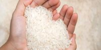 از ممنوعیت تا تسهیل: ثبت سفارش برنج سفید به جریان افتاد