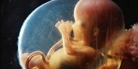رژیم متعادل، کلید وزن‌گیری سالم جنین؛ شیرینی‌ها کافی نیستند