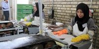 کاهش انگیزه کارگری؛ همه به دنبال بازنشستگی هستند