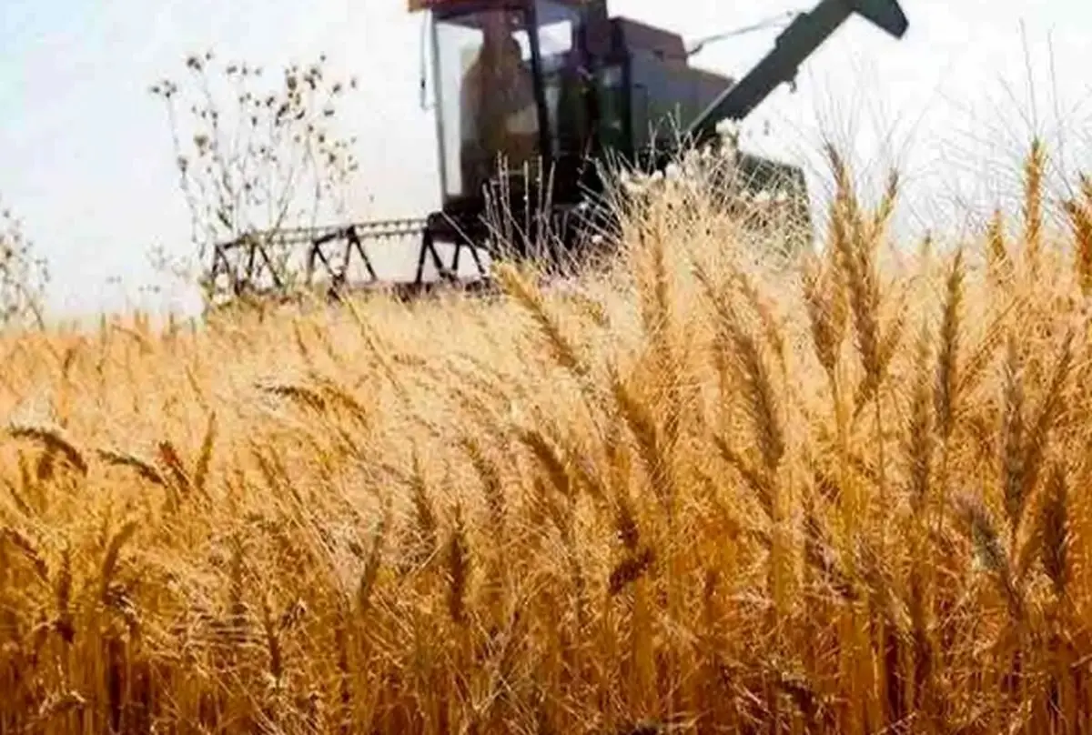 شورای قیمتگذاری خبرداد؛ تصویب نرخ جدید خرید گندم شورای قیمتگذاری خبرداد؛ تصویب نرخ جدید خرید گندم