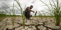 زنگ خطر خشکسالی: ۸۰ درصد جمعیت ایران در وضعیت بحرانی