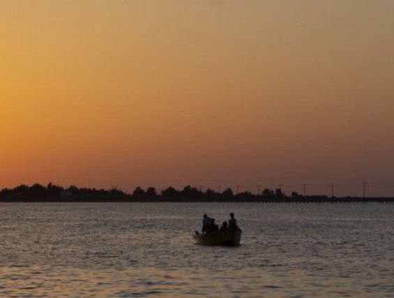 استاندار گلستان: اقدام فوری برای نجات خلیج گرگان ضروری است