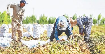 خیز ایران برای بازار ۸۲ میلیارد دلاری