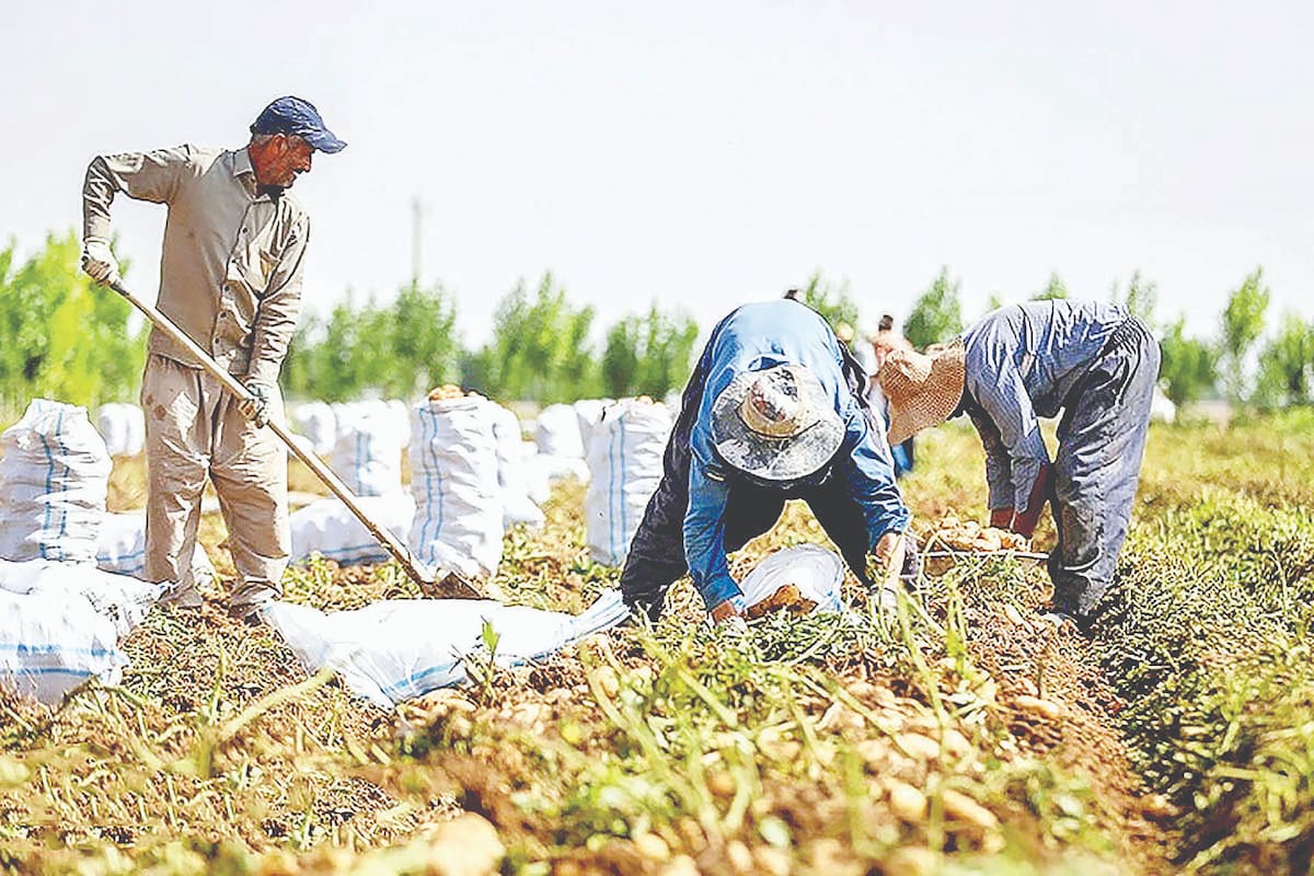 خیز ایران برای بازار ۸۲ میلیارد دلاری
