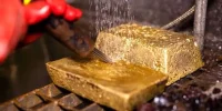 دانشمندان از سم، طلا استخراج کردند
