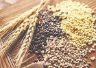 سومین رکورد متوالی در برداشت جهانی غلات