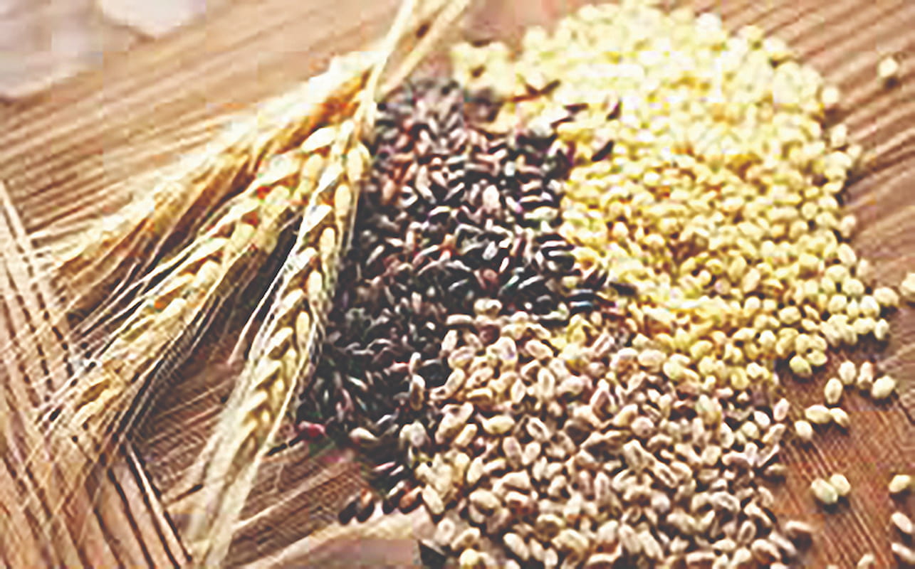 سومین رکورد متوالی در برداشت جهانی غلات